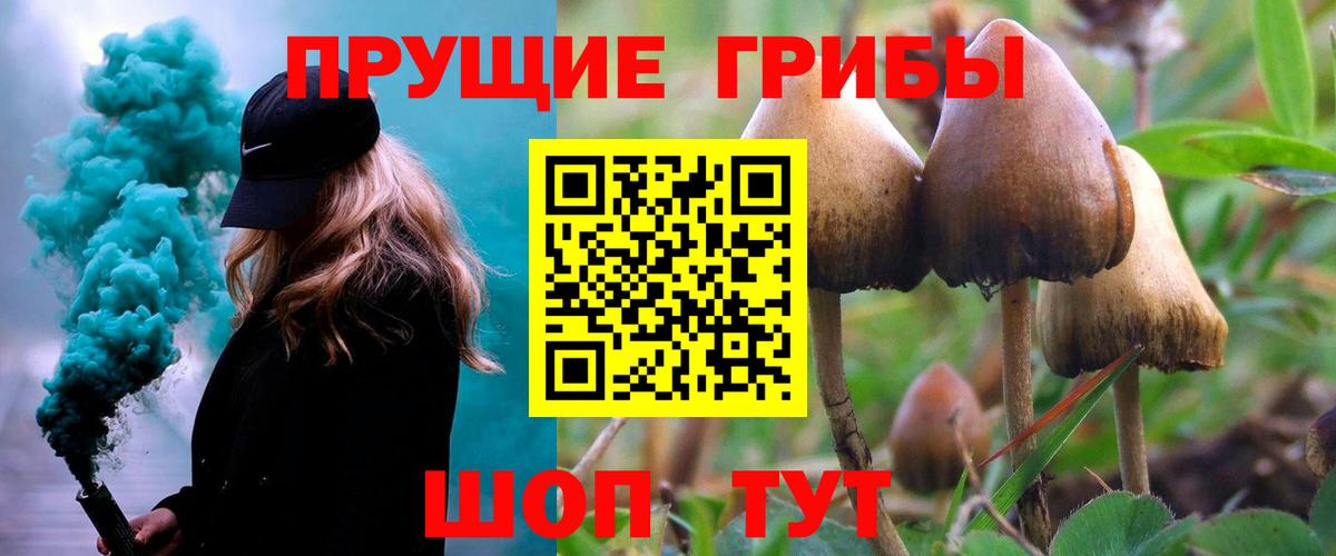 Псилоцибиновые грибы Magic Shrooms  Вход с VPN  Кольчугино 